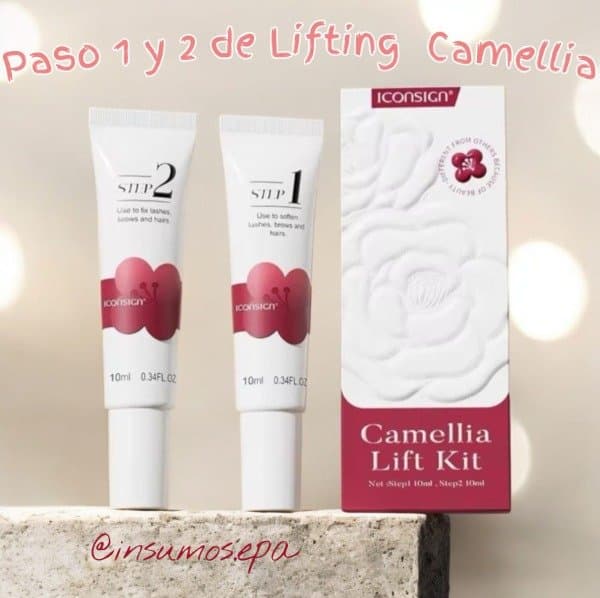 Paso 1 y 2 Lifting Camellia